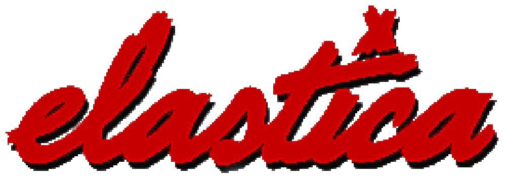 Elastica