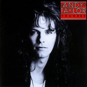 Andy Taylor